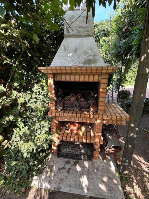 A Tintureira Villa São Martinho de Antas Kültér fotó